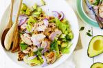 Indian Chicken And Avocado Indianstyle Salad Recipe Appetizer