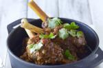 Indianstyle Curried Lamb Shanks Recipe recipe