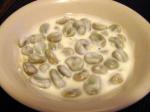 American Spring Broad Beans in Yoghurt Dinner