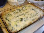 Italian Spinach Gratin 6 Appetizer