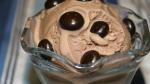 American Chocolatehazelnut Soy Ice Cream Recipe Dessert