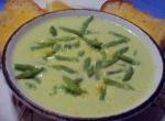 American Cream of Asparagus Soup 28 Dinner
