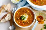 American Spicy Lamb Chickpea and Lentil Soup Recipe Appetizer