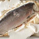 Australian Salmon to the Salt 2 Appetizer