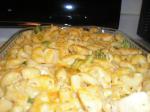 American Macaroni and Cheese With Broccoli and Chicken Appetizer