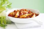 Italian Tomatobraised Fennel Recipe Appetizer