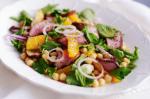 American Spiced Lamb With Chickpea Orange And Herb Salad Recipe Appetizer