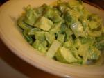 American Celery and Avocado Salad Appetizer