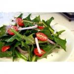 Dandelion Salad Recipe recipe