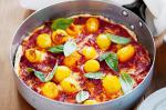Canadian Salami and Tomato Piadina Recipe Appetizer