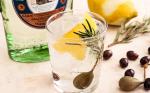 Spanish Gin and Tonic Barcelona Style Recipe Appetizer