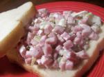 American Ham Salad for Sandwiches 1 Appetizer