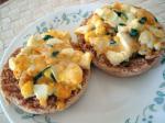 American Openfaced Egg Salad Sandwiches Breakfast