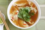Chinese Chicken Wontons In Spicy Soup Recipe Appetizer