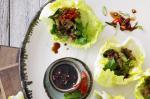Chinese San Choy Bau Recipe 5 Dinner