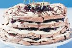 American Black Forest Meringue Cake Recipe Dessert
