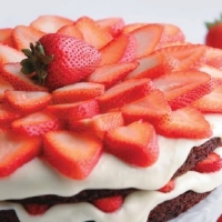 Canadian Strawberry Brownie Torte Dessert