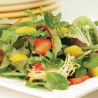 Canadian Strawberry and Mango Salad Appetizer