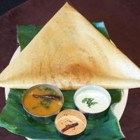 Pakistani Kali Dosa Appetizer