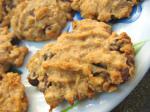 American Chocolate Chip Apple Cookies Dessert