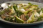 American Pear Fennel And Haloumi Salad With Walnut And Thyme Dressing Recipe Breakfast