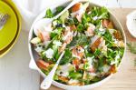 American Salmon And Crisp Pita Salad With Light Ranch Dressing Recipe Dinner