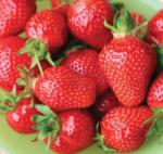 French Strawberries with Zabaglione 3 Dessert