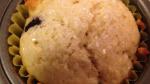 British Blueberry Muffins Ii Recipe 1 Appetizer