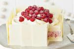 American Coconut And Raspberry Icecream Cake Recipe Dessert