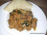 Indian Crock Pot Creamy Beef Curry Dinner