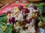 American Fruity Chicken  Rice Salad Dessert