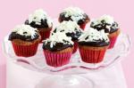 Canadian Mini Triple Choc Cupcakes Recipe Dessert