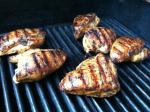 American Spicy Grilled Chicken Breasts 1 Dinner