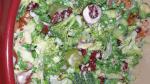 American Raw Veggie Picnic Salad Recipe Appetizer