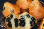 American The Nofat Blueberry Muffins Recipe Dessert