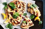 American Chicken and Sticky Onion and Cranberry Relish Pizza Recipe Appetizer
