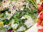 American Lighter Caesar Salad Dressing Appetizer