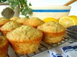 American Lemon Poppy Seed Muffins 11 Dessert