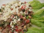 American Tabbouleh Wrapped in Romaine Leaves Appetizer