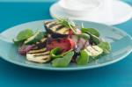 American Chargrilled Vegetable And Haloumi Salad Recipe Appetizer