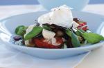 American Chargrilled Vegetable Salad With Poached Eggs Recipe Appetizer