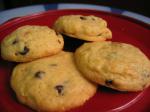 American All Grownup Chewy Chocolate Chip Cookies Dessert