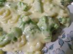 American Broccoli and Cheddar Bow Ties Dinner