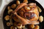 Lemon And Herb Roast Chicken Recipe recipe
