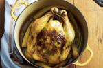 Potroasted Chicken Recipe 1 recipe