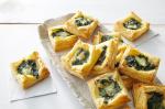 American Spinach And Mozzarella Tarts Recipe Appetizer