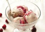 American Vegan Cranberry Swirl Ice Cream Dessert