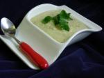 American Courgette Basil and Brie Cheese Soup Appetizer