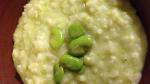 American Green Risotto with Fava Beans Recipe Appetizer