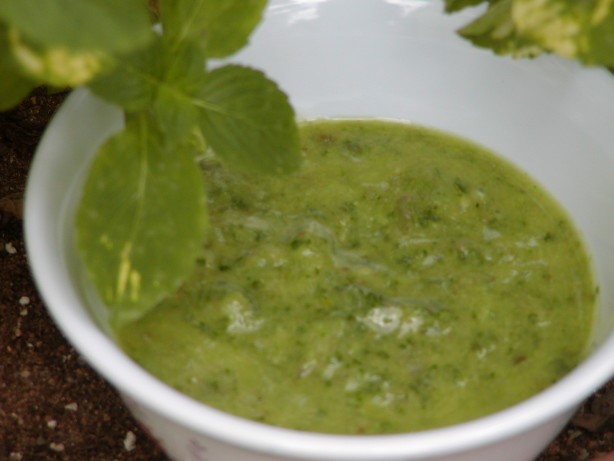 American Salsa Verde 40 Appetizer